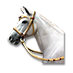 Cavallo andaluso.png