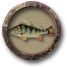 File:Pescare salmoni.png