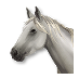 Cavallo bianco di Maggie.png
