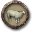 File:Badare alle pecore.png