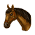 Cavallo di Colcord