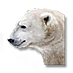 Orso polare dello gnomo.png