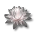 Fiore di loto.png